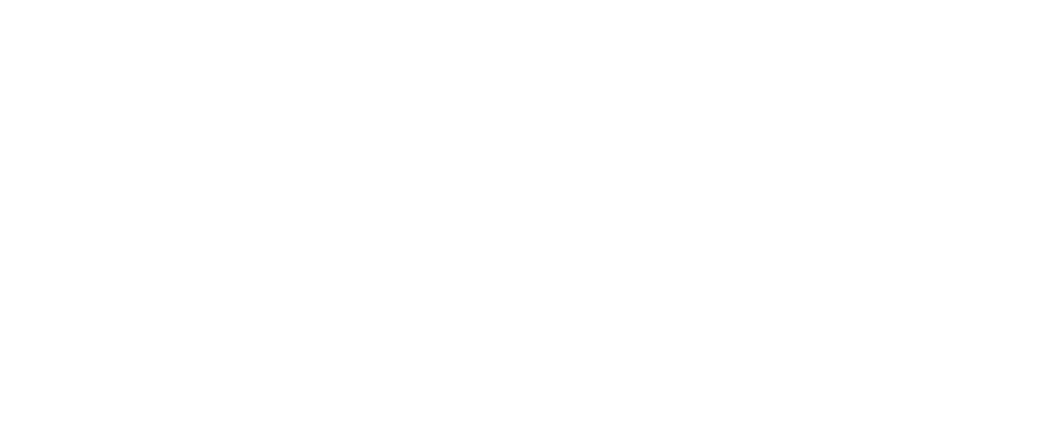 Apex Hpotech Logo White